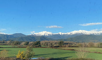 IMG_2652.jpg