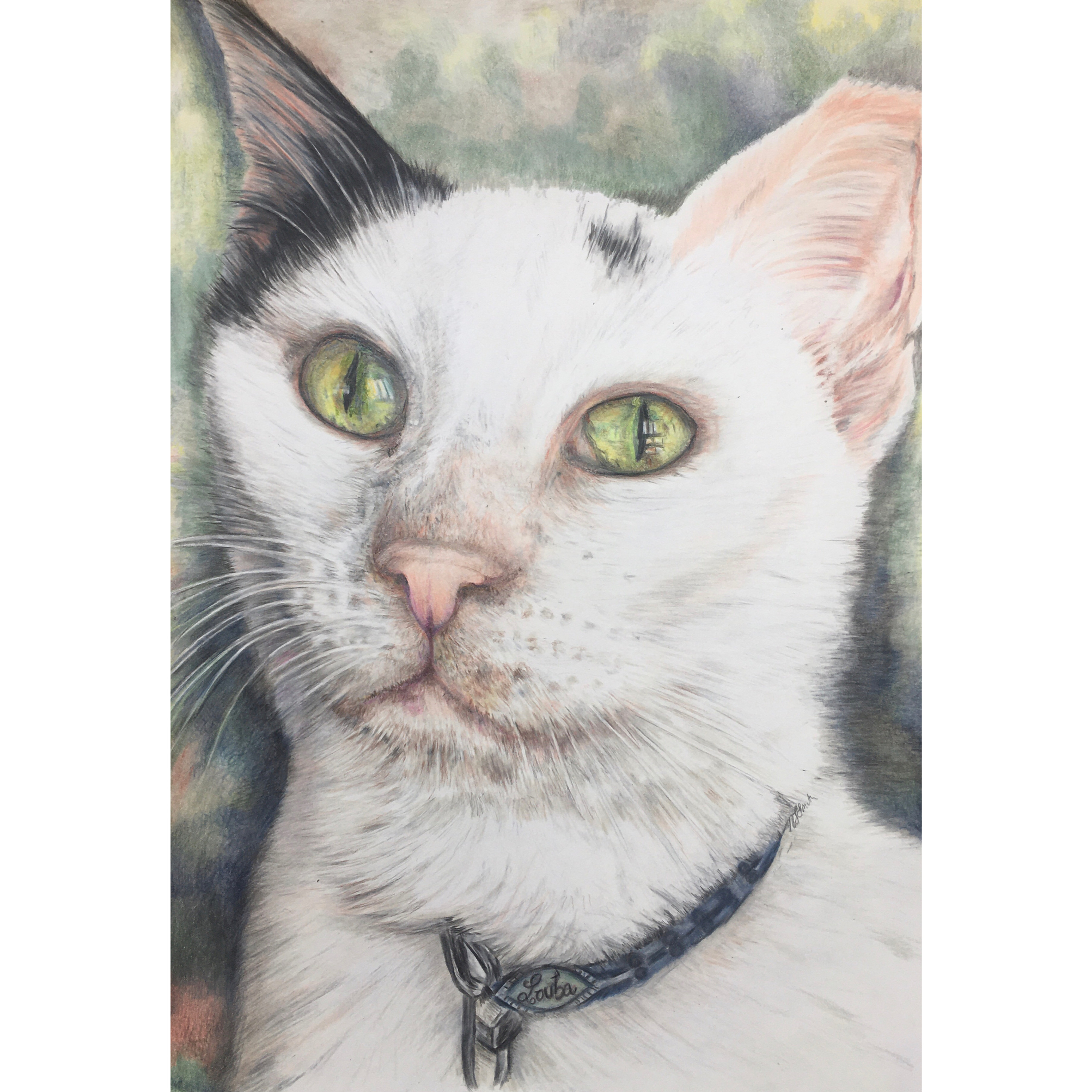 Pet Portrait 8" x 11"