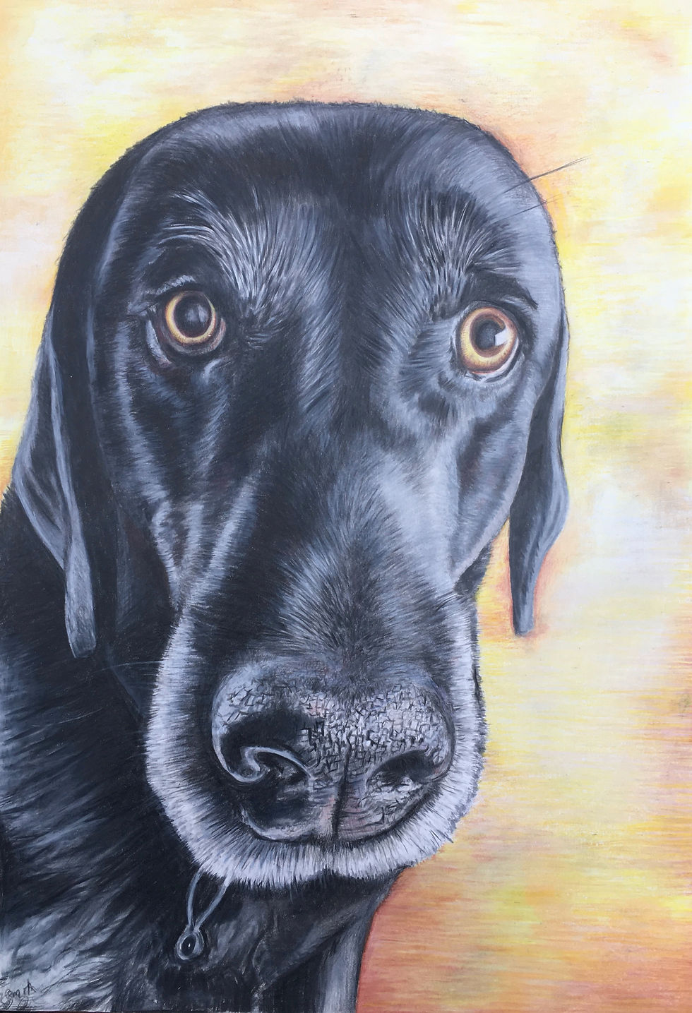 Pet Portrait 16.5 x 11.7
