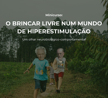 07 Brincar-Livre.png