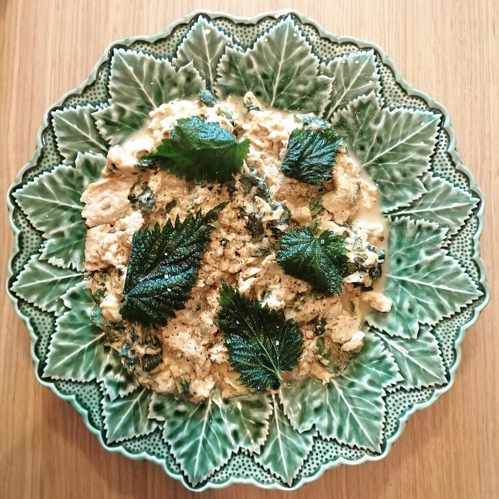 Mandar a sustentabilidade apanhar urtigas!