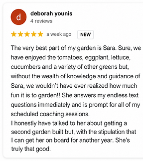 Deborah Younis Google