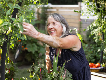 Gardening in the Quiet Season: Why Showing Up (Even When It’s Boring) Grows the Deepest Roots