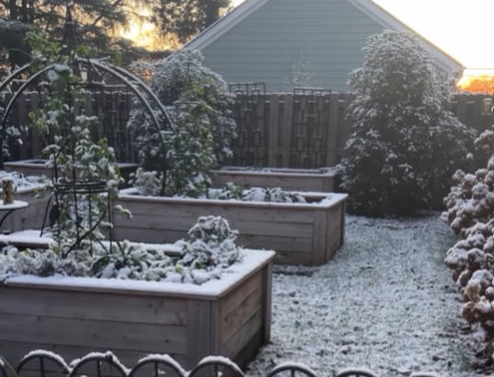 Best Plants During Winter?