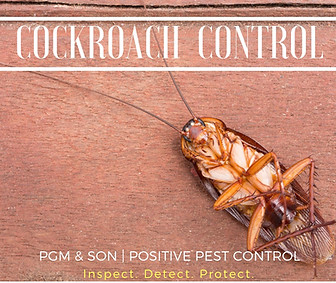PGM & SON: cockroach control extermination removal