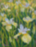 WEB-Butter-and-Sugar-Irises.jpg