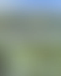 秋田県宿泊応援事業、「秋田県得旅キャンペーン」が始まります！（第一弾）