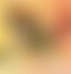 はまなすのおせち予約受付開始いたします🎍
