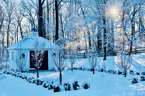 Custom-designed, beautiful art studio, delivered fully built, situated in your backyard, perfect for creativity and inspiration