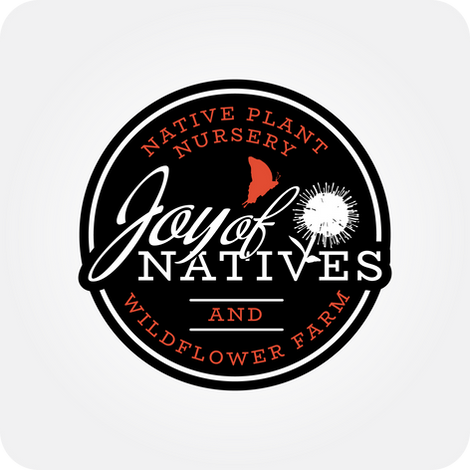 cottonbush flower and butterfly logo