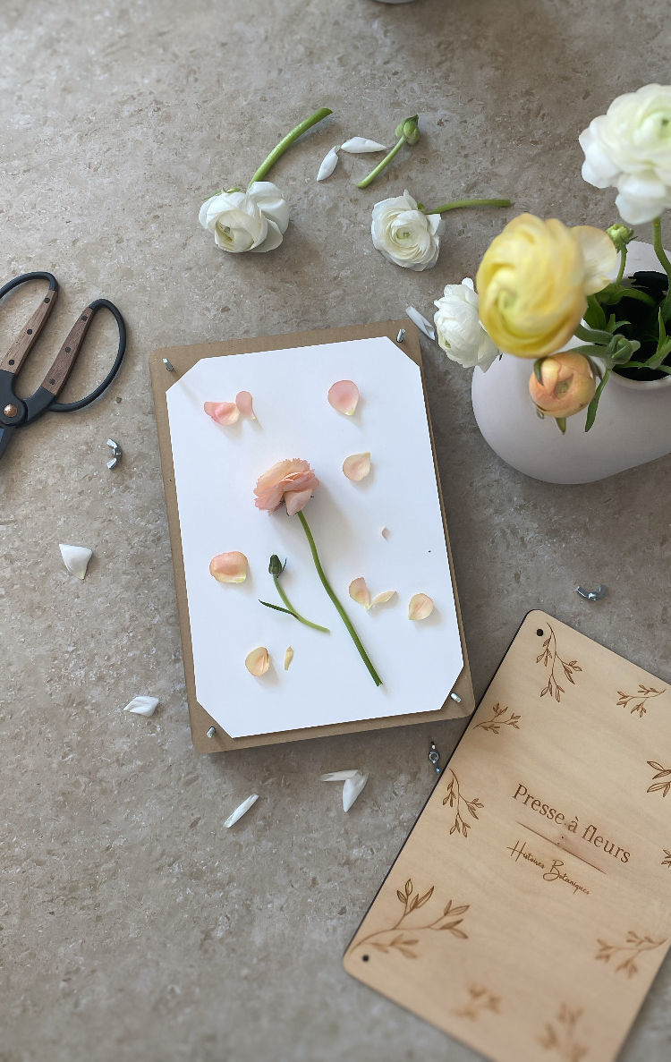 Miniature : Presse à fleurs " feuillage "