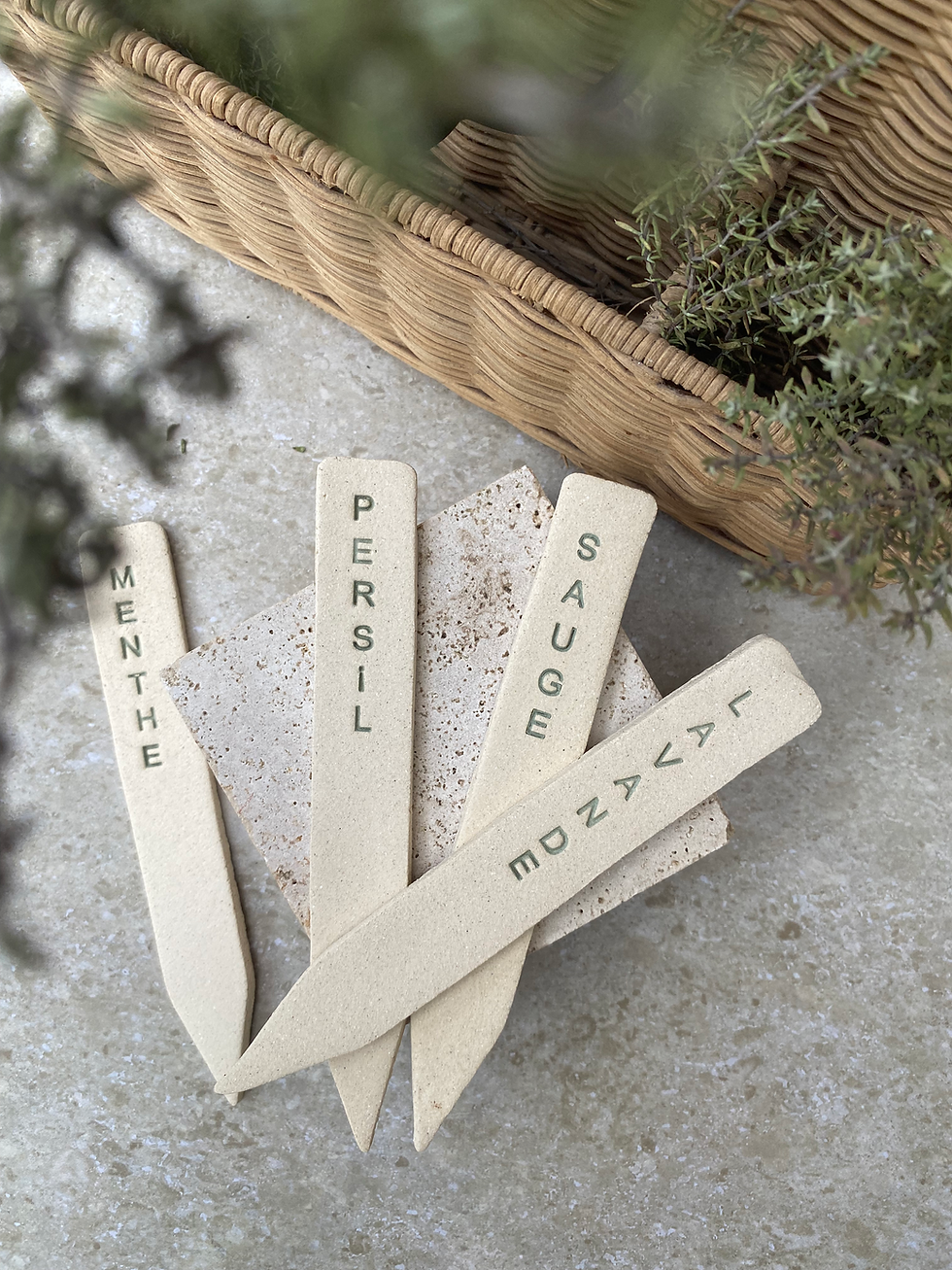 Lot de 4 étiquettes de jardin : Sauge, Lavande, Menthe, Persil