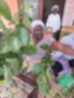 Jolitha is preparing the herbs