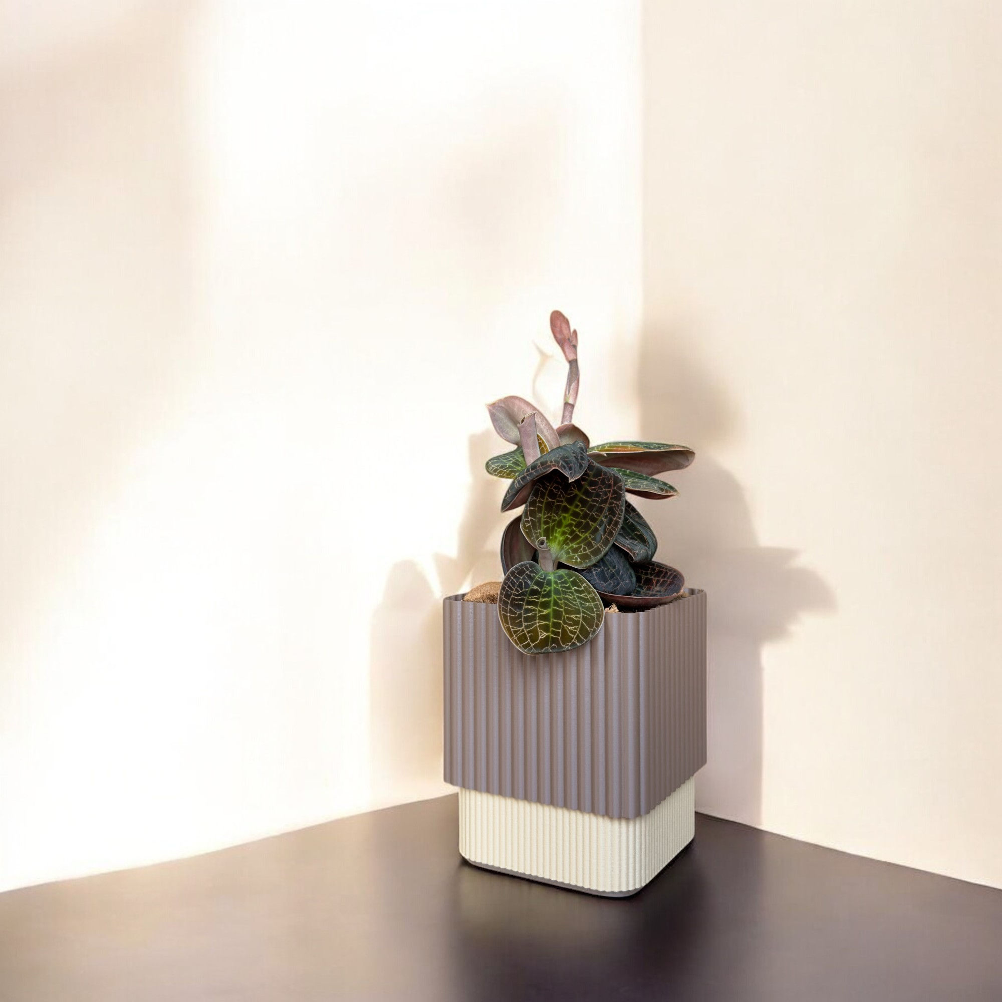 Shroomi Topf Ciao Kakao Größe S