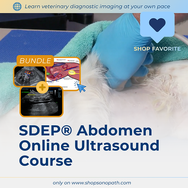 SDEP® Abdomen On-Demand Ultrasound Training