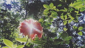 『誇りを持てるワークスタイルを創る』