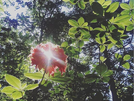 『誇りを持てるワークスタイルを創る』