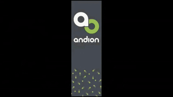 andion.gif
