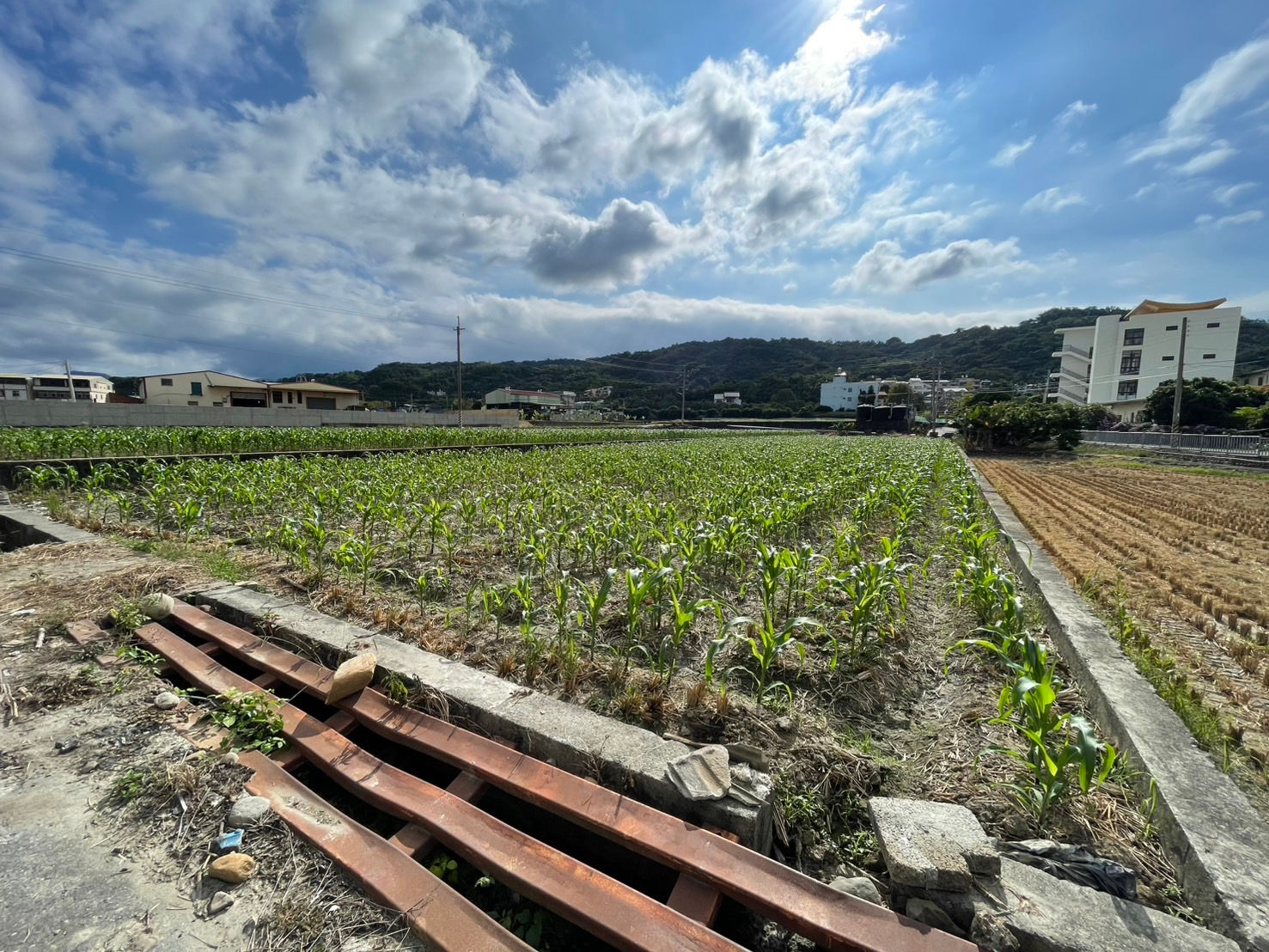 南埔1分多平坦美田