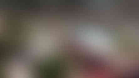 קארטינג בחרסוניסוס