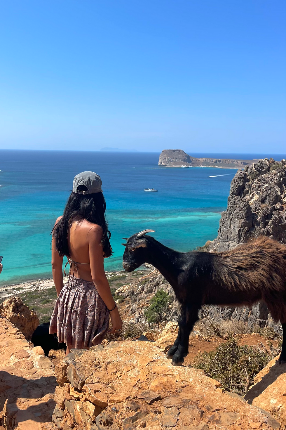 FullSizeRender 7_edited.png