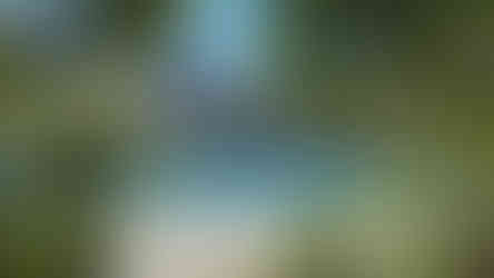 אגם קורנס, רתימנו - צילום רעות מועלם