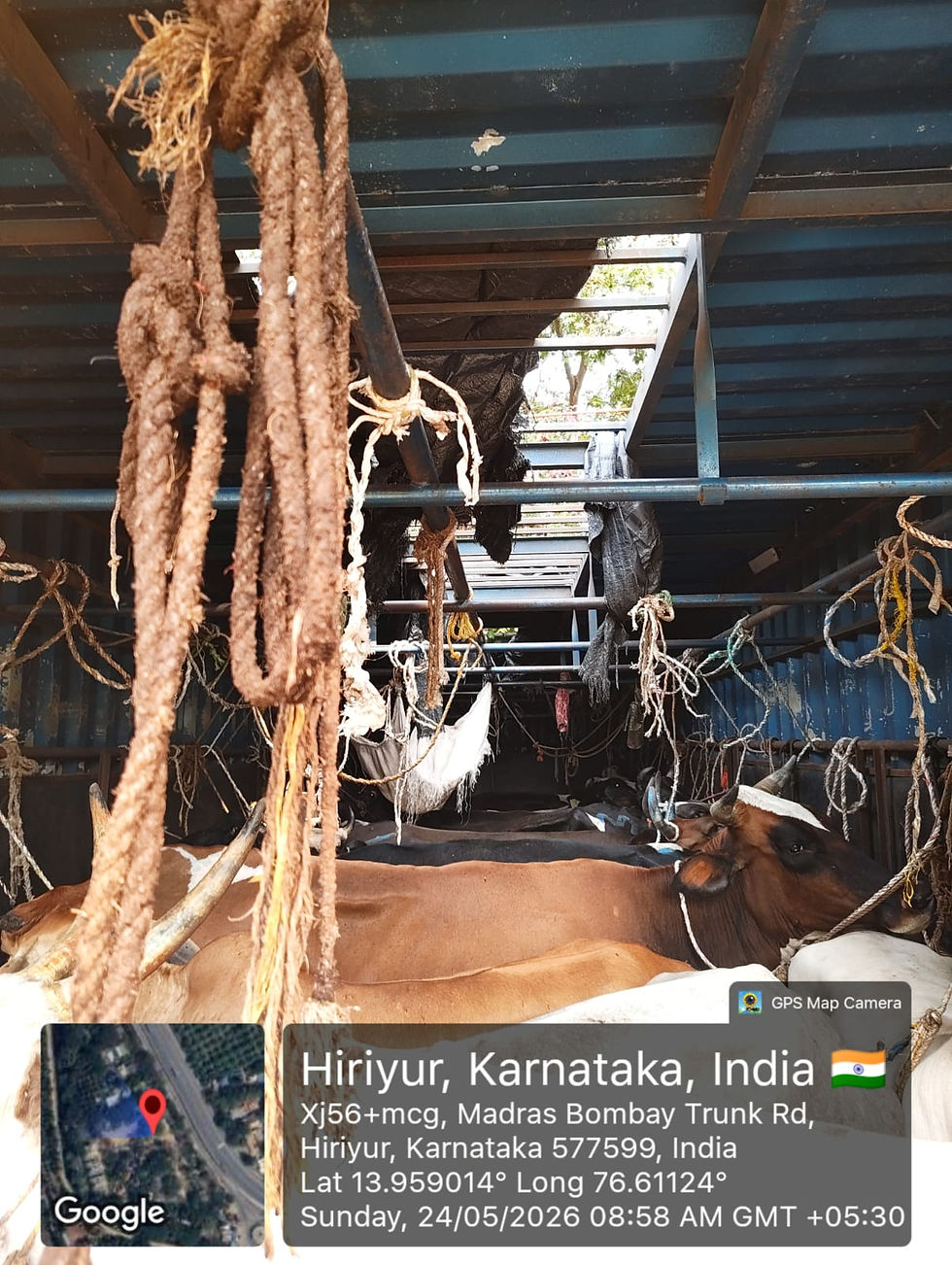 34 Rescued @ Hiryur Rural police station limits