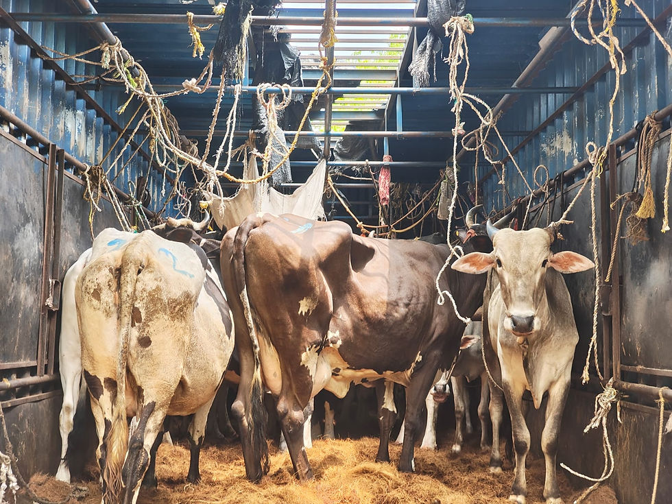 34 Rescued @ Hiryur Rural police station limits
