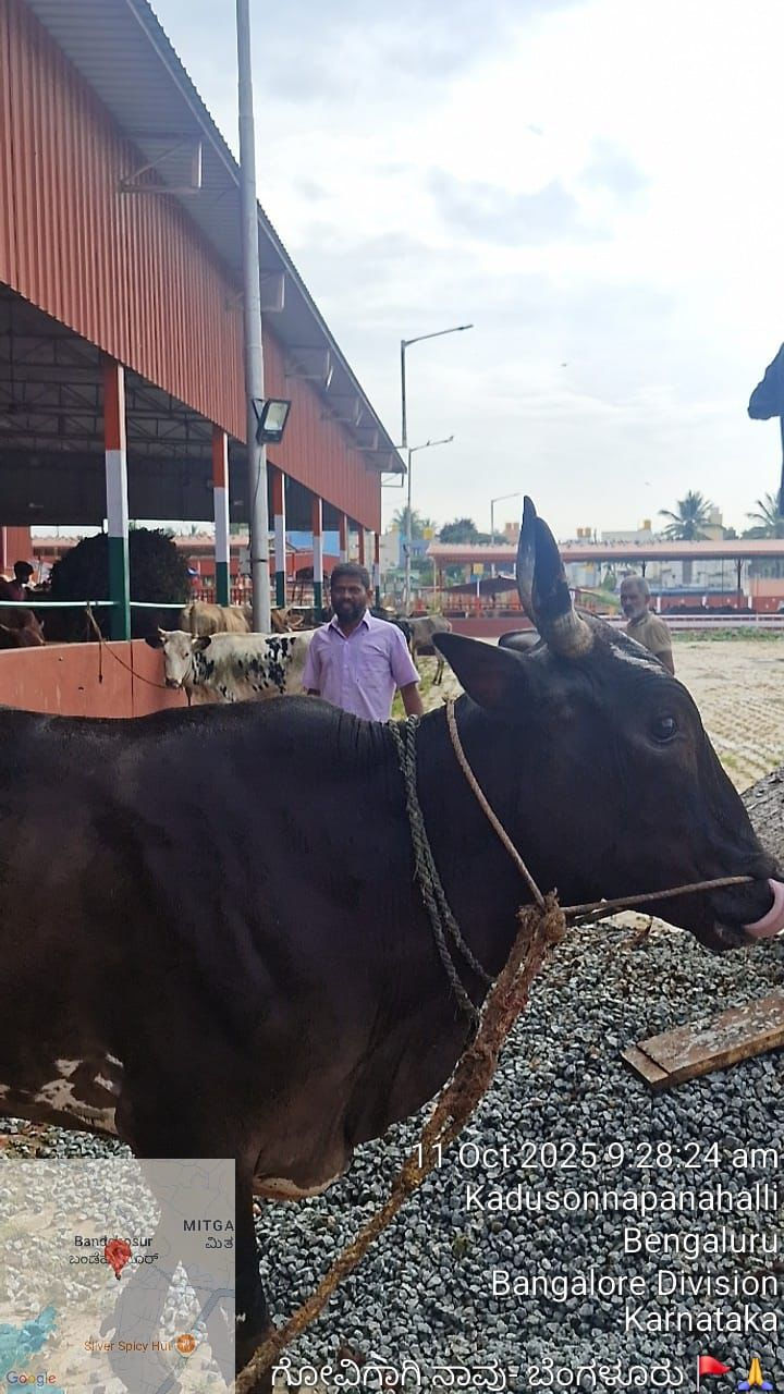 Kodigehalli Police Station Limits