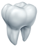 Tooth