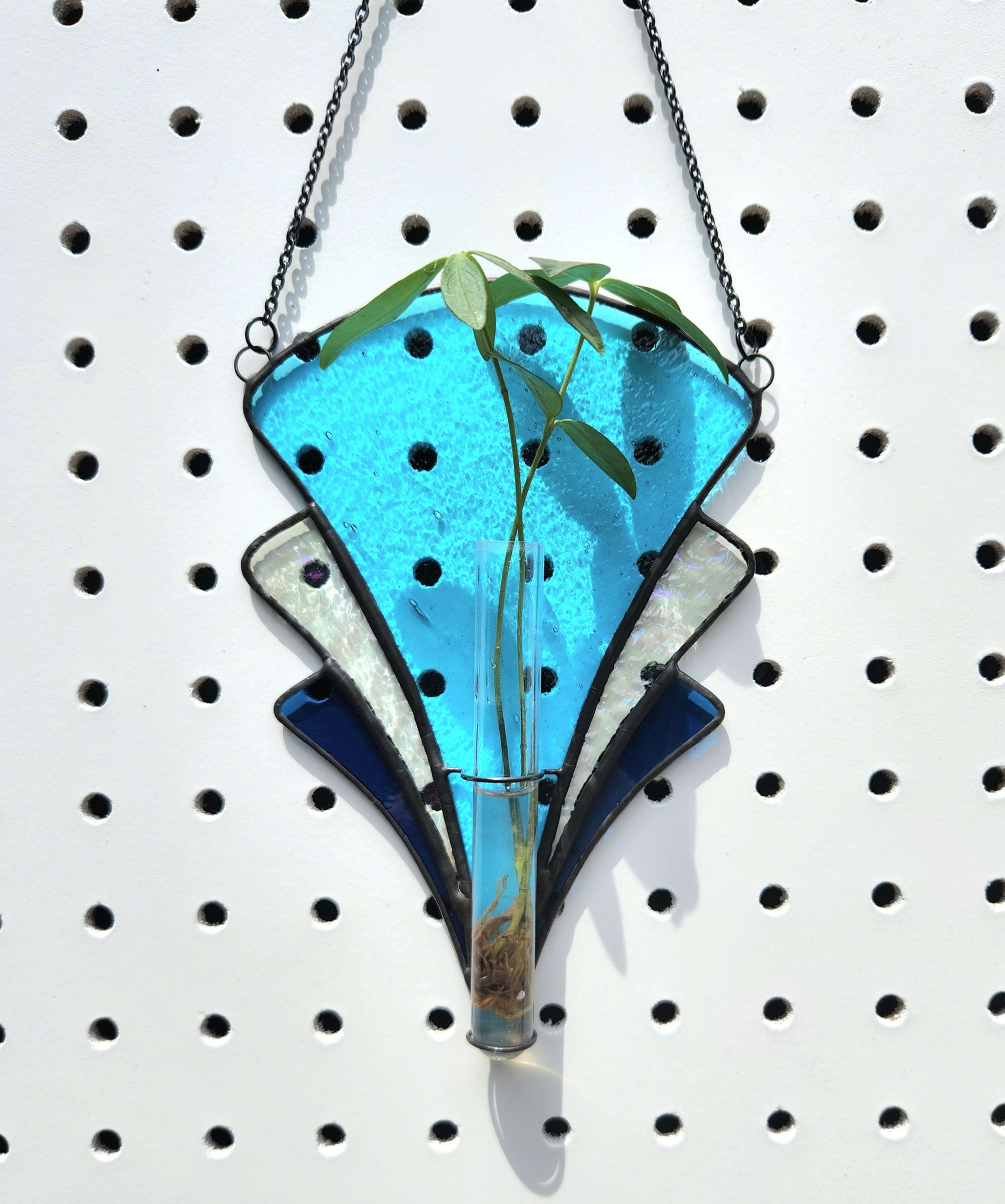 Blue Gem Propagation Station  