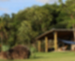 vinícola em Espírito Santo do Pinhal • enoturismo em São Paulo • vinhos de inverno Brasil • dupla poda vinho • turismo ru