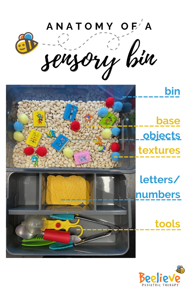 Anatomy of a Sensory Bin
