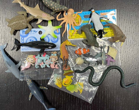 Sensory Bin Activities Image 4