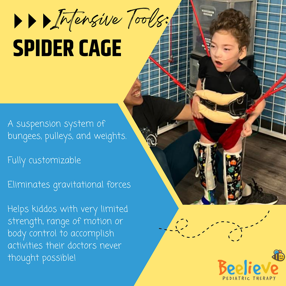Spider Cage Strength & Balance for Kids