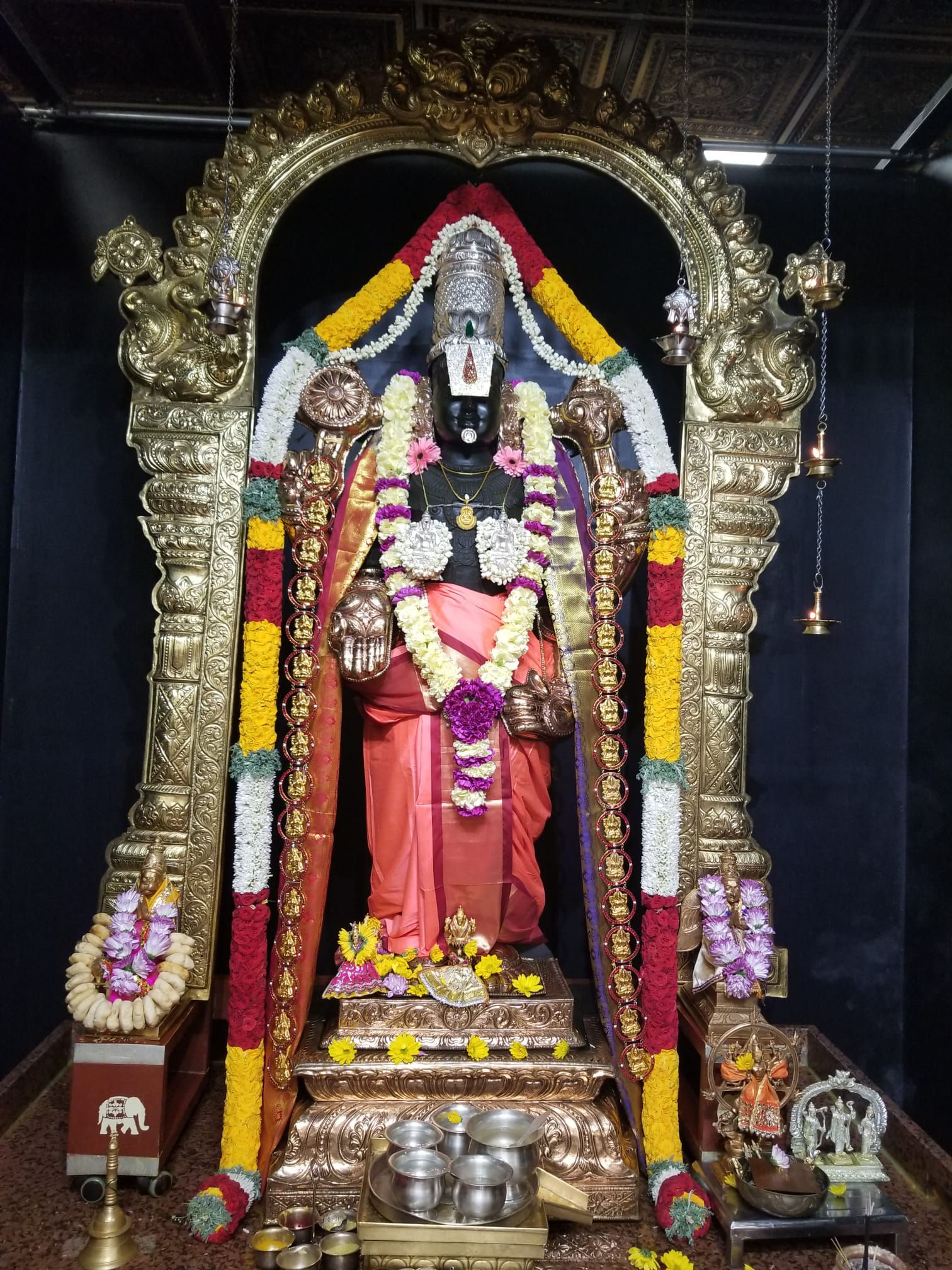 Lily & Button Rose Thomala