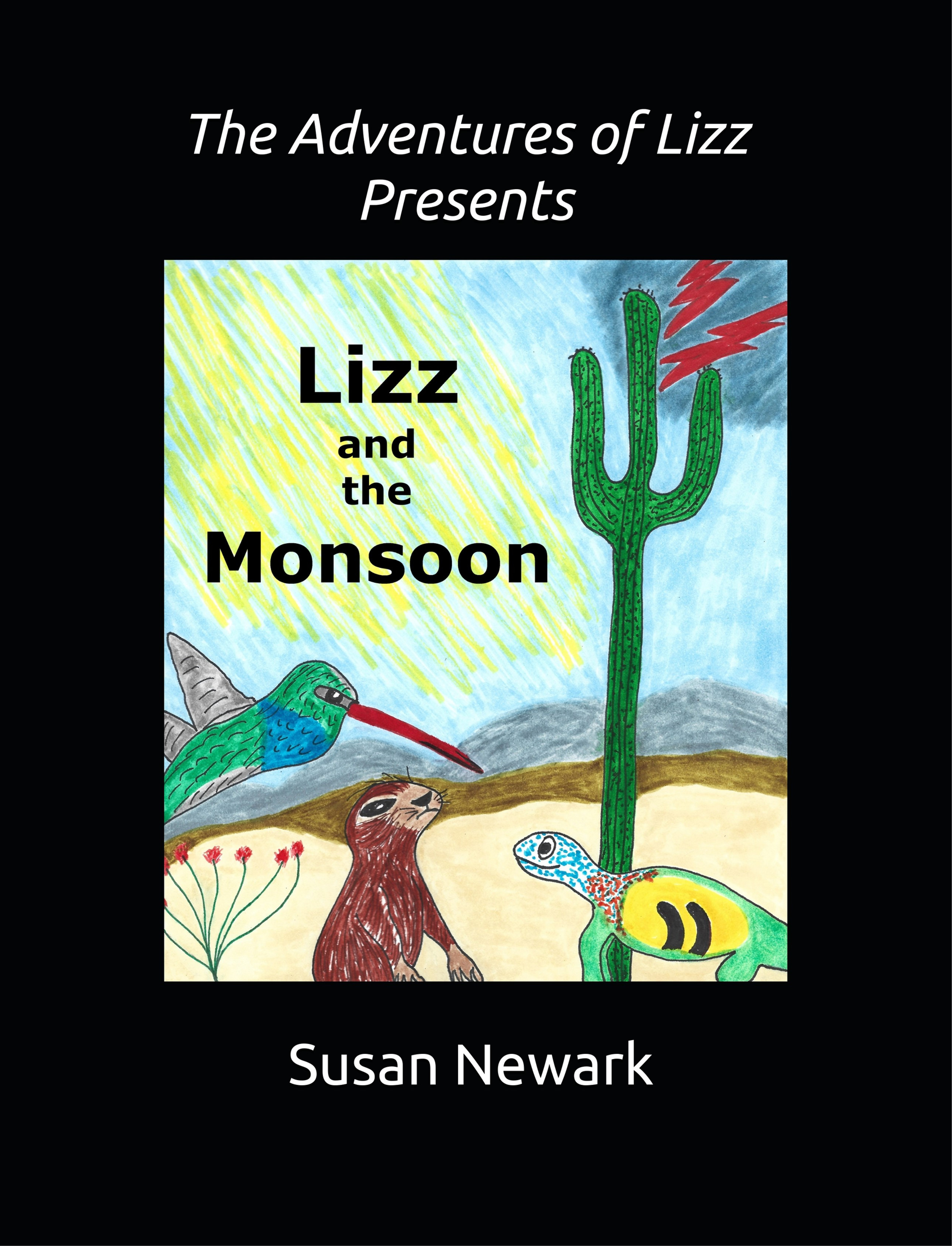 Lizz and the Monsoon & The Lizz Quiz Workbook