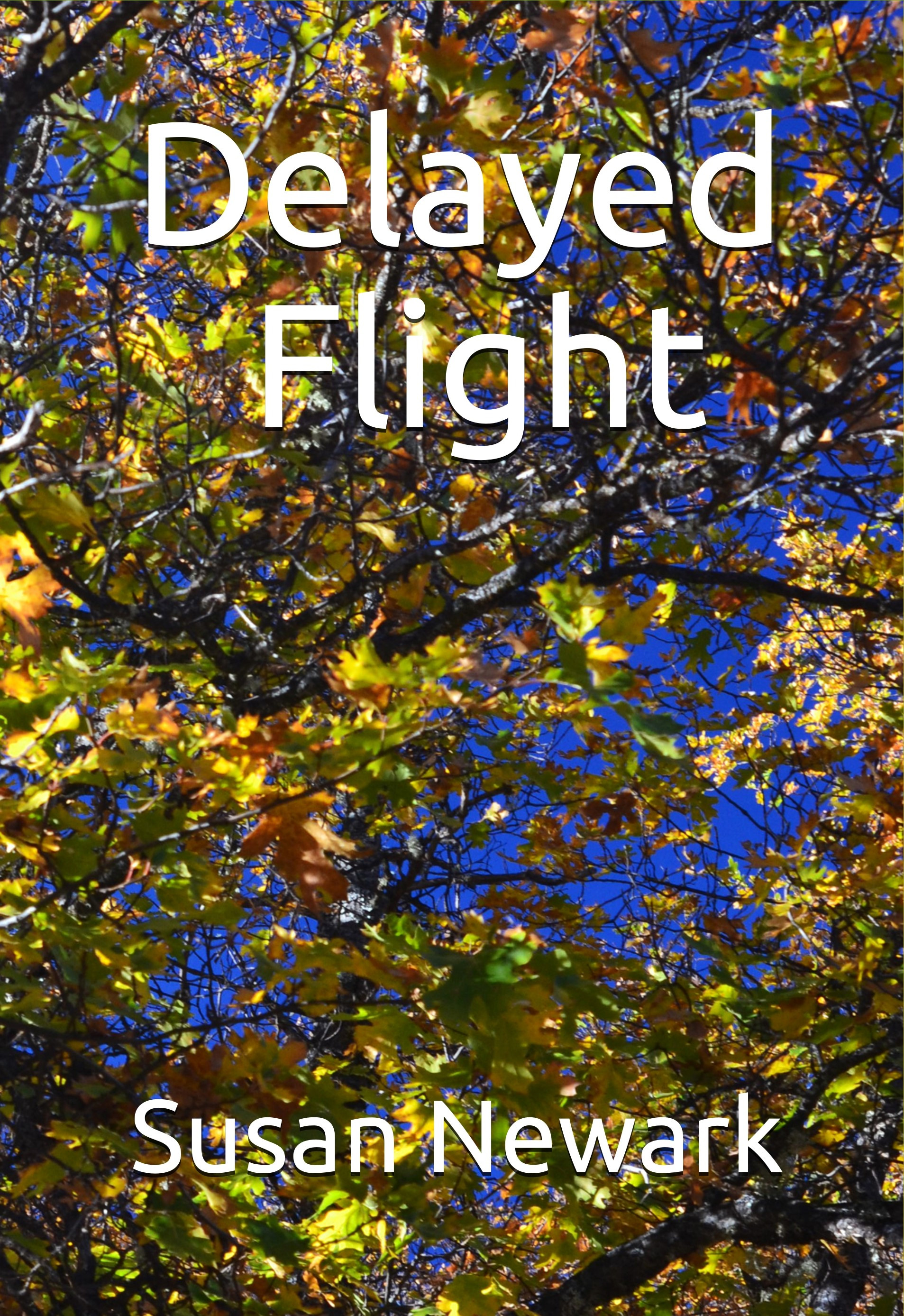 Delayed Flight