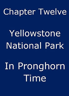 Web Slideshow Chapter 12_edited.jpg