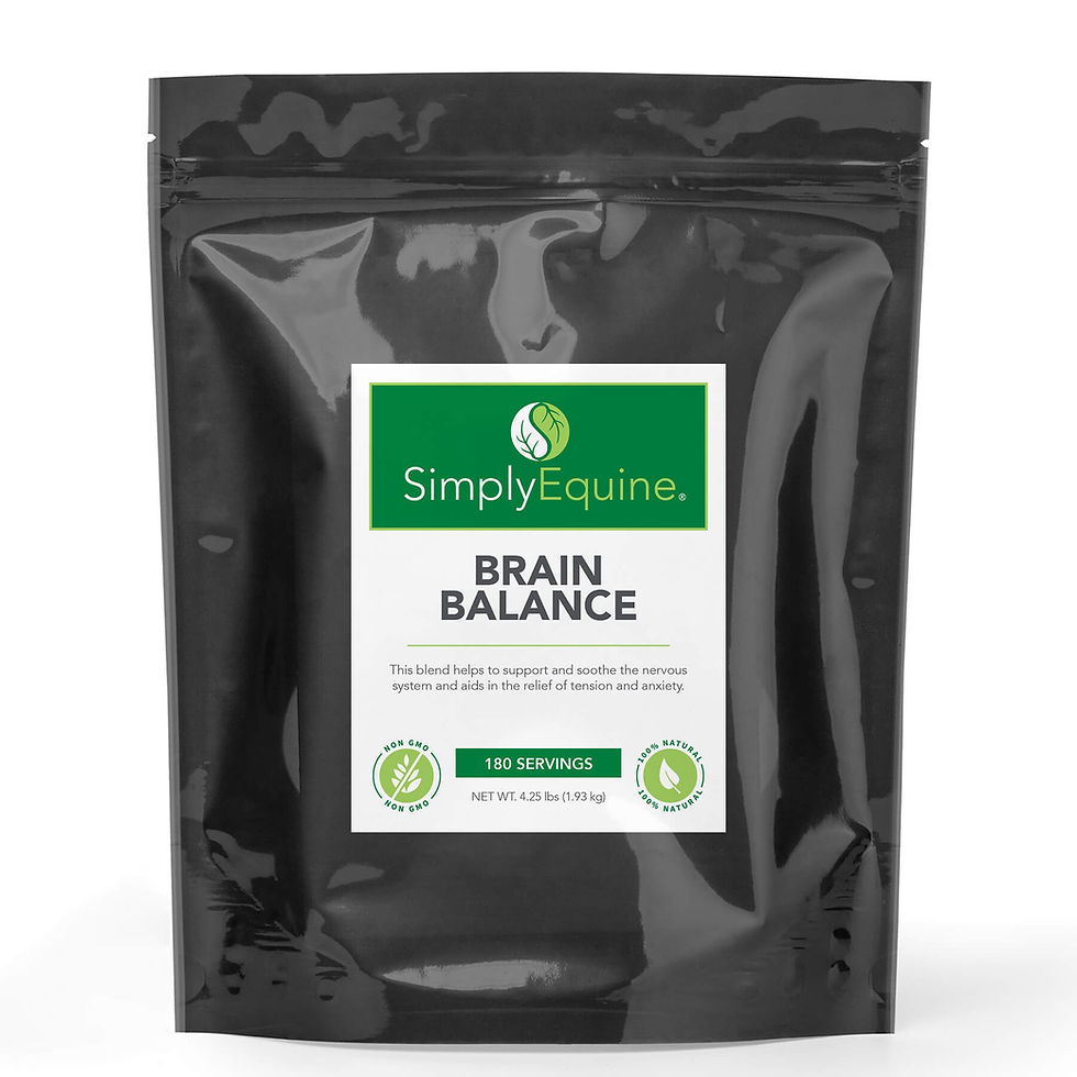 Thumbnail: Brain Balance