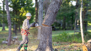 iStock-2171378830.jpg