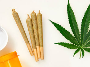 Infused Pre-Rolls vs. Classic Joints: Which Should You Choose?