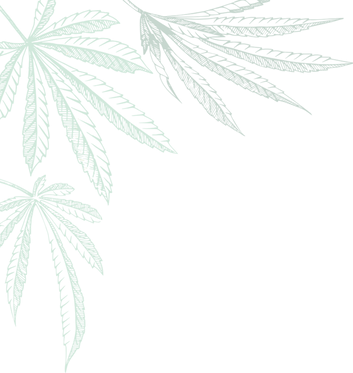 Weed-leaf-Asset-1-768x802_edited.png