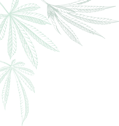 Weed-leaf-Asset-1-768x802_edited.png