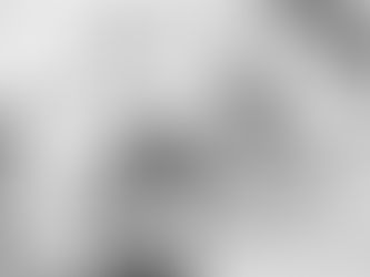 Stoned History: The Prohibition Era