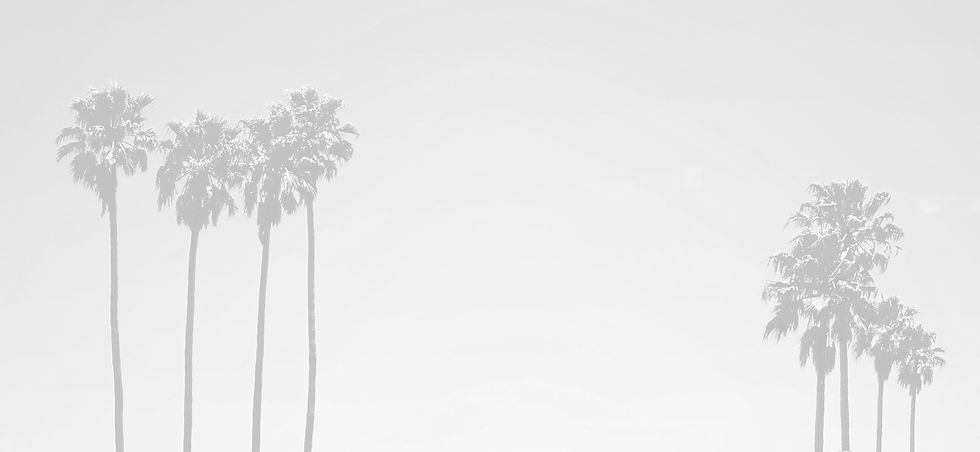palms_bg.jpg