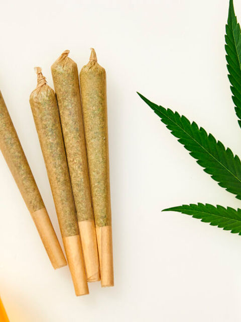 Infused Pre-Rolls vs. Classic Joints: Which Should You Choose?