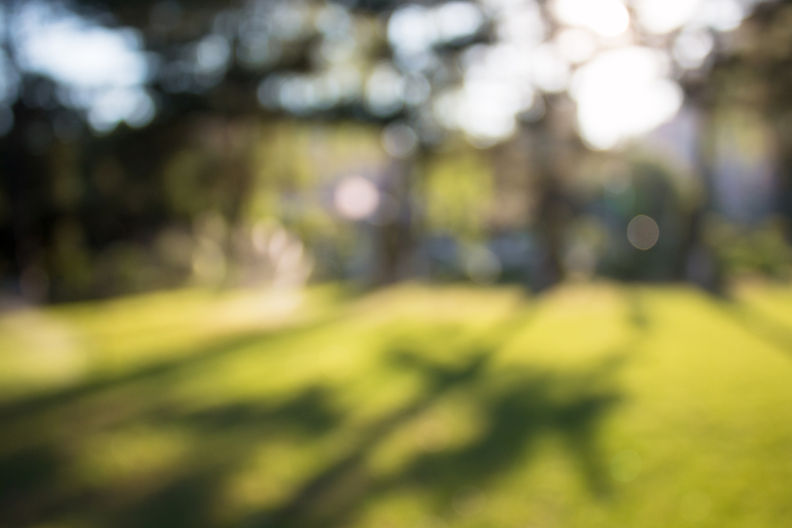 iStock-477096010.jpg