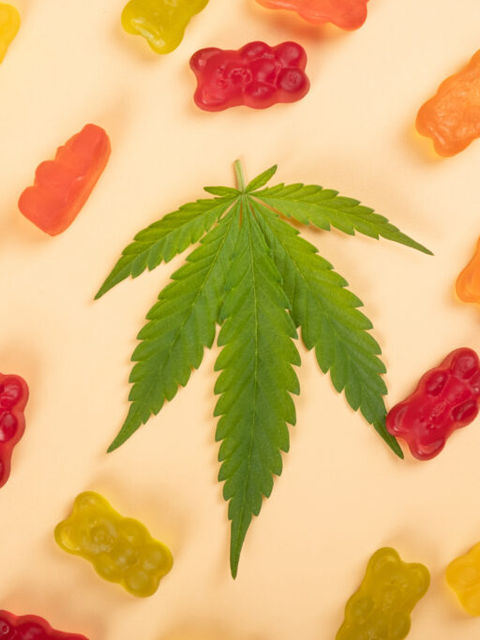 cannabis jelly candies marijuana multicolored sweets drugs and green leaf on yellow background