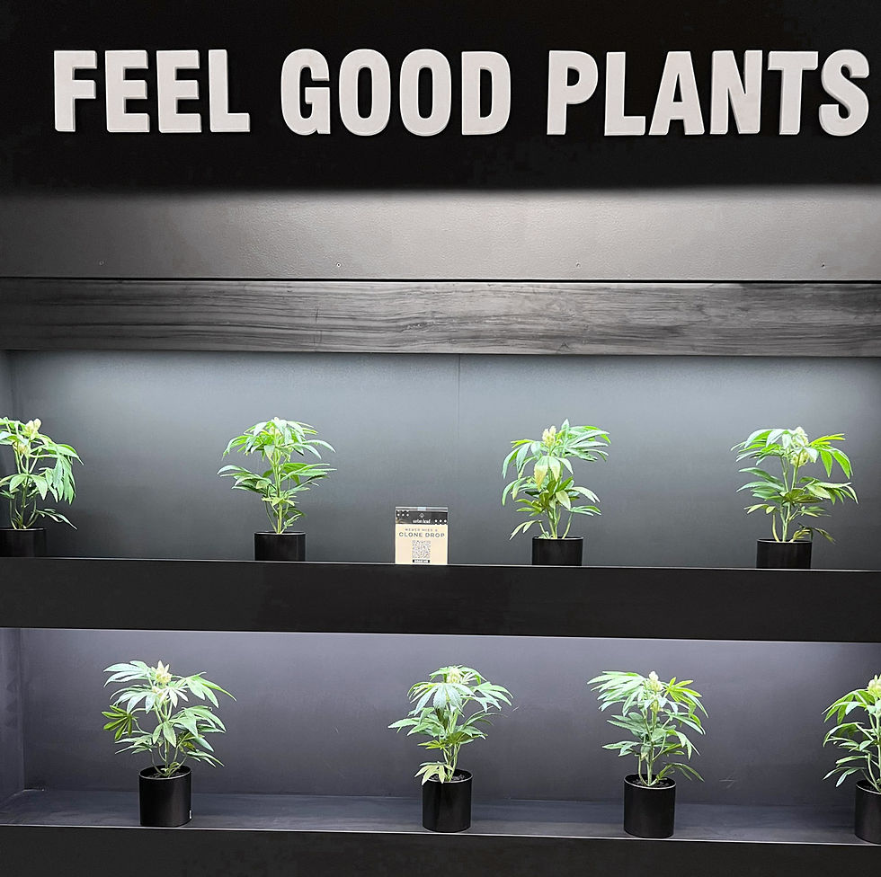Feel Good Plants
